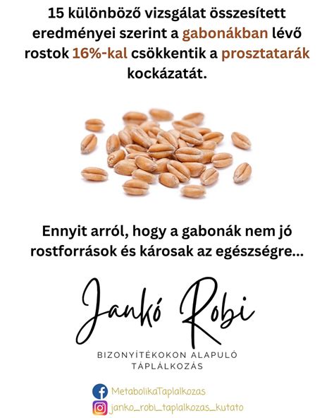 Különböző gabonák infografikája