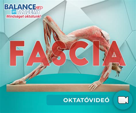 A fascia szerepe a mozgásban - gumiszalag analógia