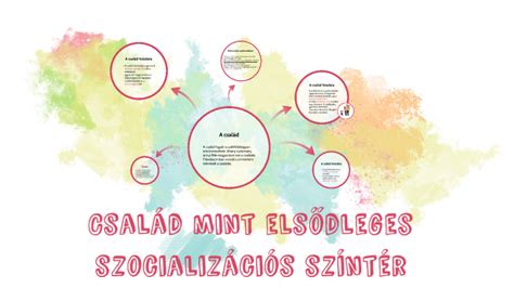 Szocializációs folyamat a kiscicáknál