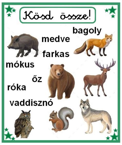 Állatok tanulnak az erdei iskolában