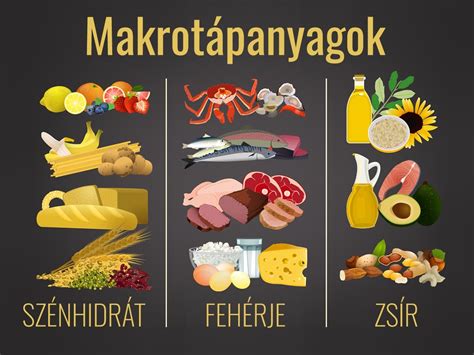 Makrotápanyagok ábrája: fehérje, szénhidrát, zsír