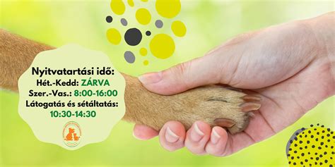 kutyák altatása