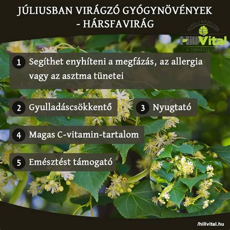 gyógynövények az anyatej termelés serkentésére