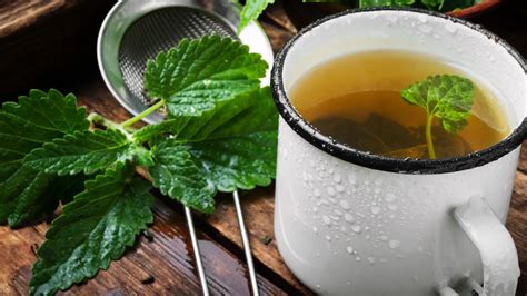 Illusztráció a borsmenta tea elkészítéséről