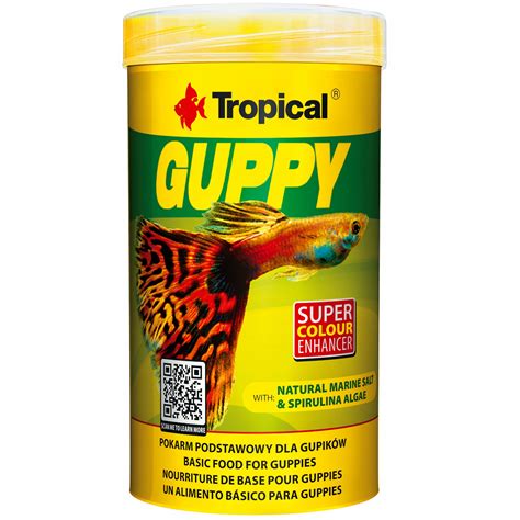 Különböző színű és mintázatú guppik