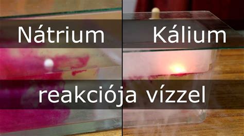 Kálium és nátrium egyensúly a sejtekben
