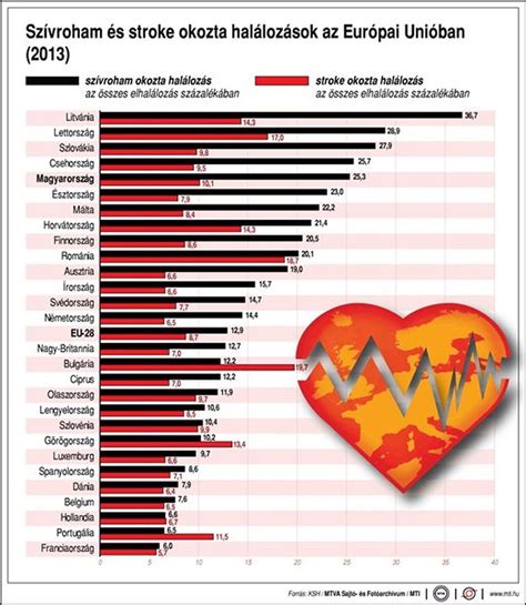 Szívroham és stroke rizikófaktorainak ábrázolása