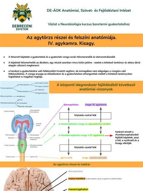 A könnycsatorna anatómiája és elzáródása