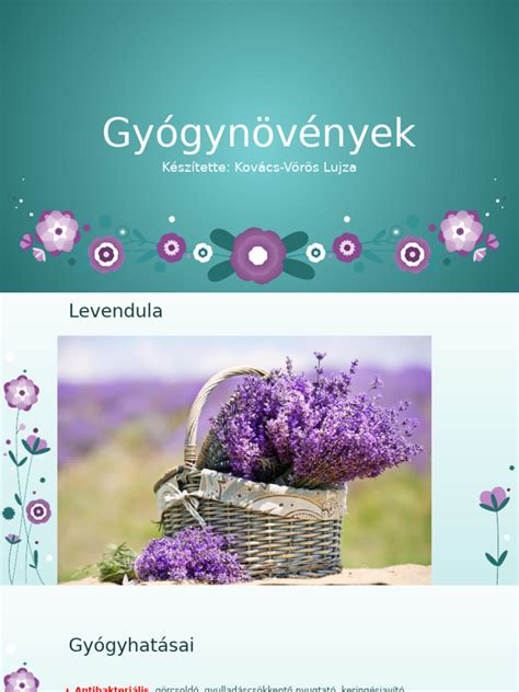 Gyógynövények a sikeres szoptatásért