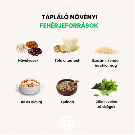 Fehérjeforrások babáknak