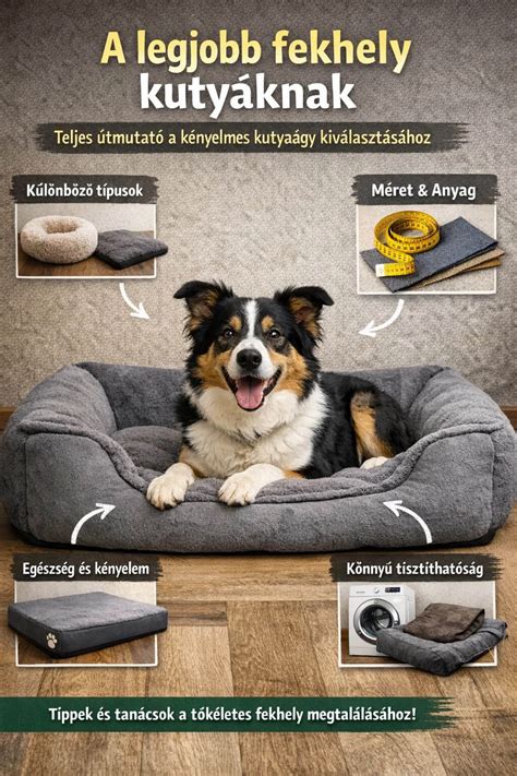 Kényelmes fekhely anyamacskának és kiscicáinak