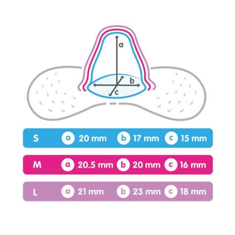 Diagram a mellbimbóvédő anatómiájáról és elhelyezkedéséről
