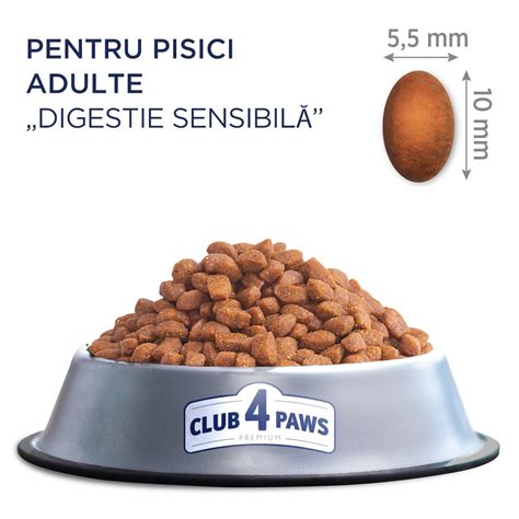 Minőségi száraztáp macskáknak