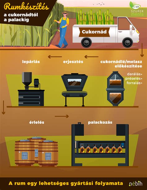 A lombikprogram lehetséges mellékhatásait illusztráló grafika