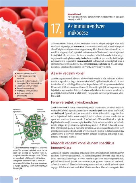 Az immunrendszer működése fertőzések esetén