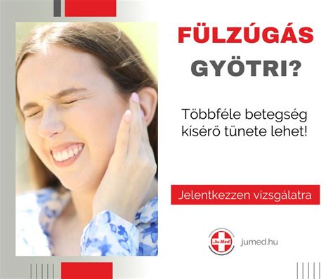 A szubjektív fülzúgás okait bemutató infografika