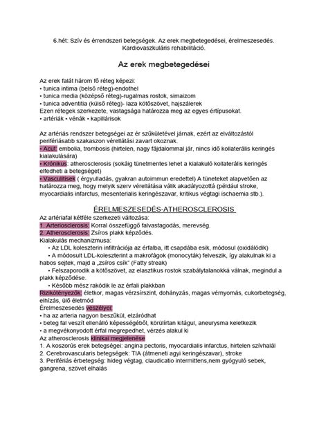 A várandósság alatti szív- és érrendszeri változások sematikus ábrája