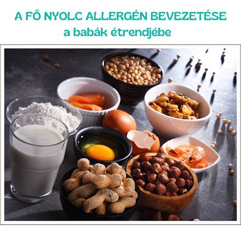 Bababarát allergén bevezetés