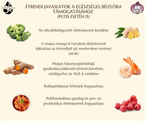 A bélflóra diverzitását és jelentőségét bemutató infografika