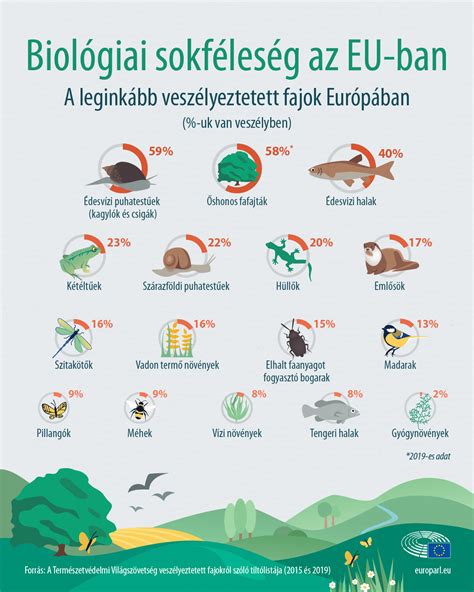 Infografika: Ügyeleti területek és lefedettség