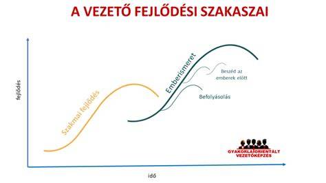 A petesejtek fejlődési szakaszai