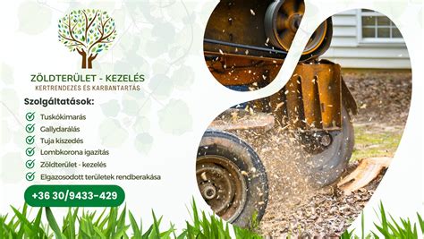 Lombikbébi-kezelés folyamata