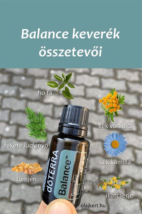 Csecsemőtápszer összetevői