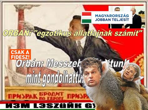 Berbermakákó majom önszoptatása