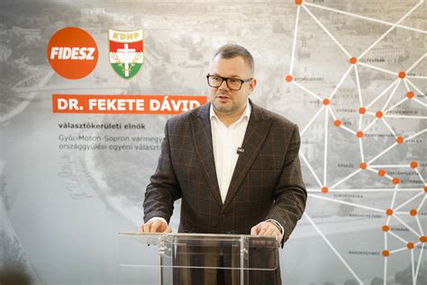 Fekete Dávid kisfia, Sebi