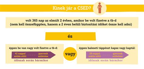 infografika a CSED és GYED igénylésének folyamatáról