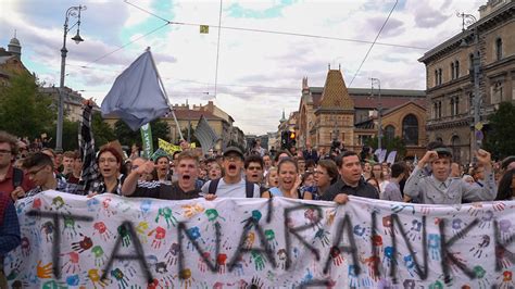Takony az orrban, bacilusok