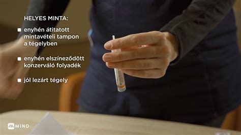 helyes mintavétel lépései