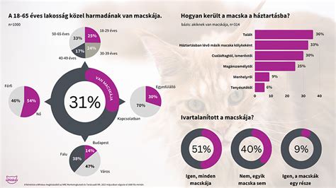 Macska oltási ütemterv infografika