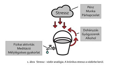 Agyi folyamatok és stressz hatása a termékenységre