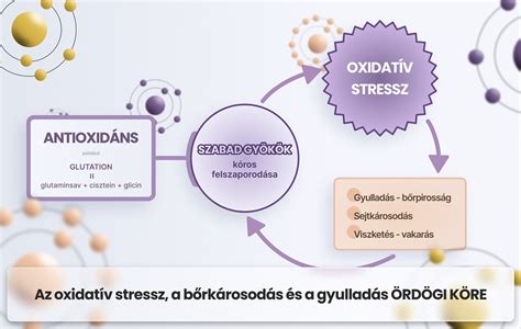 Illusztráció a spermiumok oxidatív stresszéről