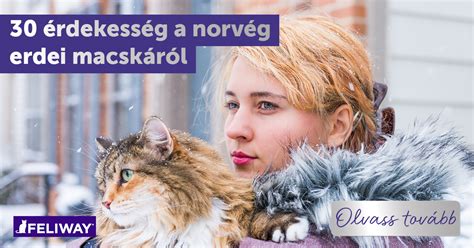 Gondoskodás vemhes macskáról