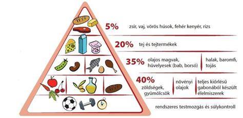 egészséges táplálkozás és szoptatás