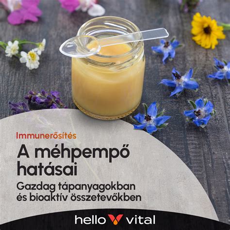 Méhpempő és termékenység