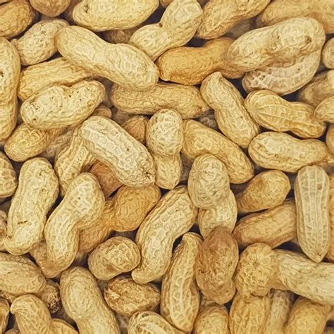 Allergén élelmiszerek és földimogyoró tartalmuk