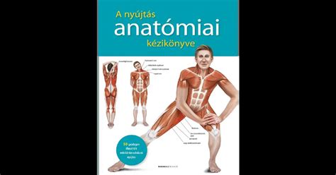 anatómiai ábra a hímvesszőről és a fitymáról