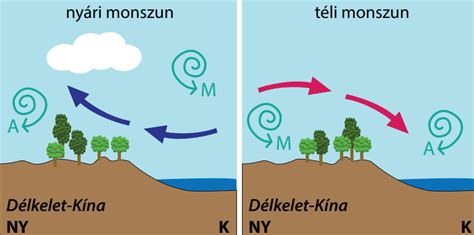 A vajúdás különböző fázisait bemutató ábra