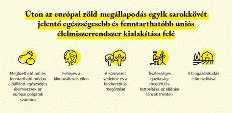 A fájdalomcsillapítás különböző módszereit bemutató infografika