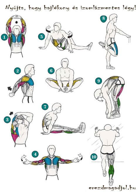 Nyaki nyújtó gyakorlatok kismamáknak