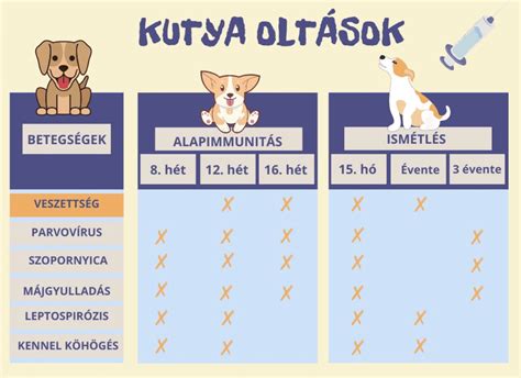 Kutya kölyök oltás közben