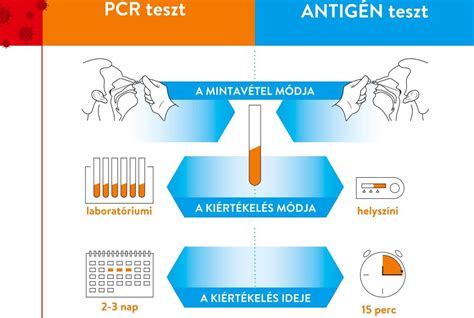 PCR teszt