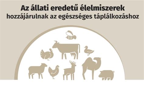 A B12-vitaminban gazdag állati eredetű élelmiszerek listája