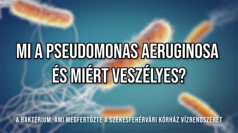 Csecsemőápolás kórházi környezetben