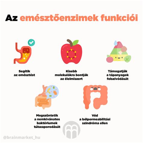 Az emésztőenzimek működését gátló tényezők