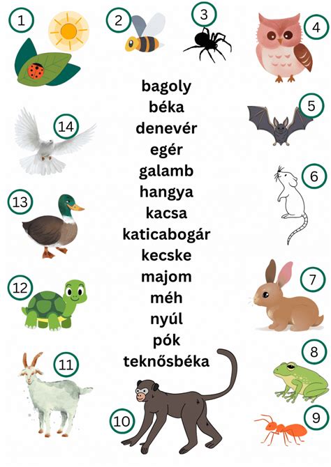 Német állatnevek illusztrációi