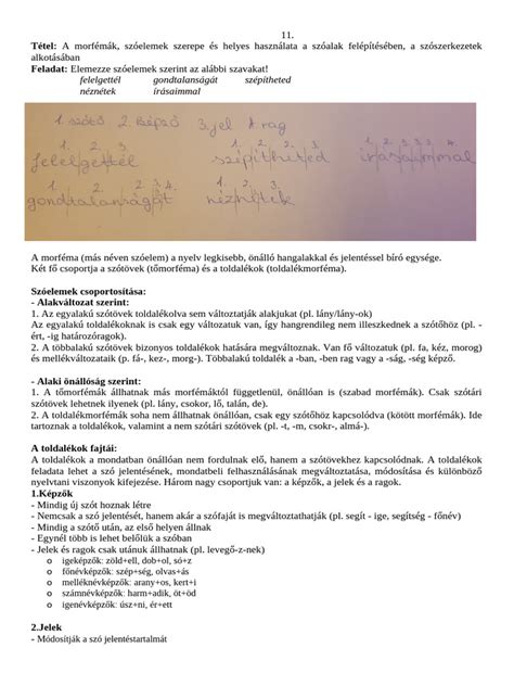 Illusztráció a smegma keletkezéséről és a helyes tisztításról